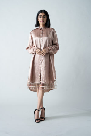 Versatile Layer Mesh Dress